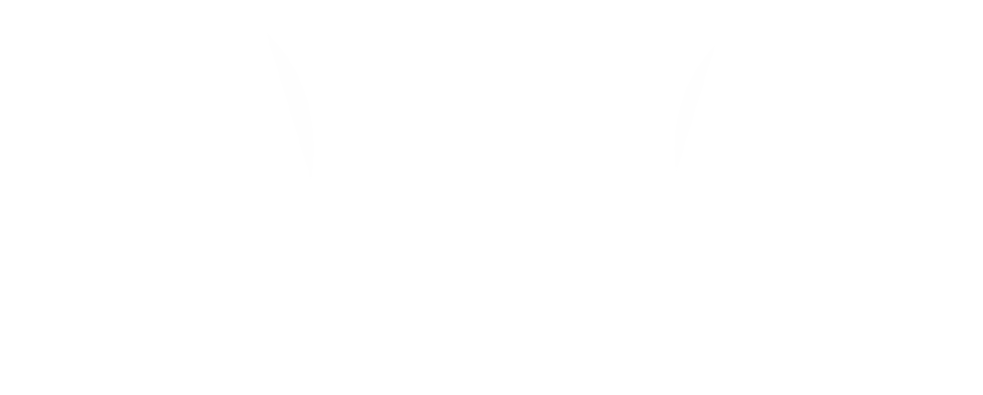 PÁGINAS WEB ECUADOR